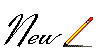 new8.gif